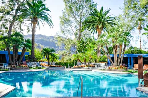 Resort swimming pool surrounded by palm trees with mountain views