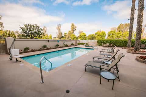 Rectangular resort pool with lounge chairs, palm trees, and landscaped perimeter