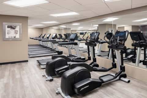 Modern gym with rows of cardio machines including treadmills and stationary bikes