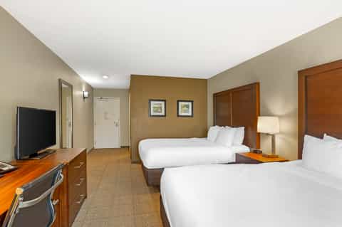 Hotel room with two queen beds, wood furniture, flat-screen TV, and beige and gold accent wall decor
