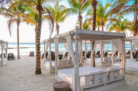 Beach cabanas with white curtains under palm trees overlooking turquoise ocean