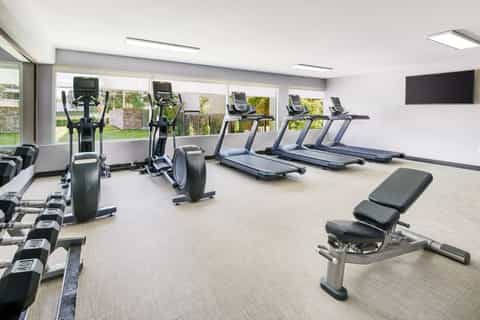 Modern fitness facility with elliptical machines, treadmills, dumbbells, and garden views