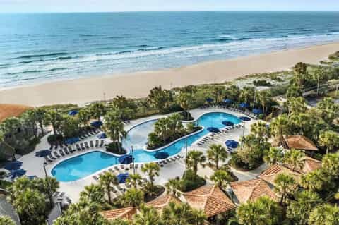Curved swimming pools with palm trees, lounge chairs, and ocean beach view