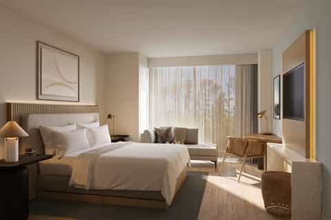 Bright modern hotel room with king bed, floor-to-ceiling windows, and contemporary furnishings