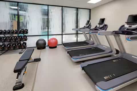 Modern gym interior with treadmills, exercise bikes, dumbbells, and glass windows overlooking grounds