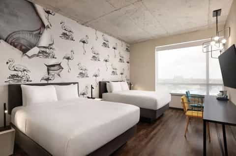 Contemporary hotel room with two beds, flamingo wallpaper, and large window overlooking water