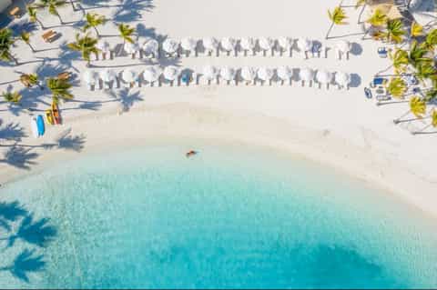 Aerial view of pristine beach with white umbrellas, lounge chairs, palm trees, and turquoise water