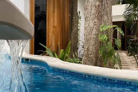 Tropical courtyard with private pool, wooden doors, large trees, and lush vegetation