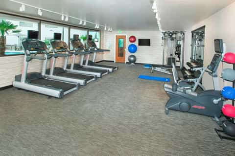 Fitness center with treadmills facing windows, exercise equipment, stability balls, and bright natural lighting