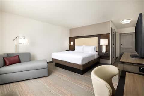 Modern hotel room with queen bed, gray sofa, wood headboard, and contemporary furnishings