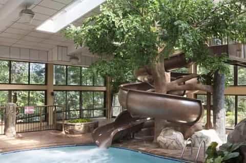 Indoor pool with live tree and metallic water slide feature and skylights