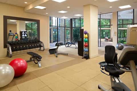 Fitness center with exercise equipment, dumbbells, exercise balls, and large windows overlooking grounds