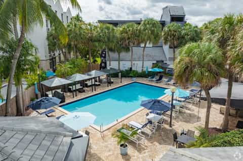 Aerial view of rectangular pool surrounded by lounge chairs, umbrellas, and palm trees