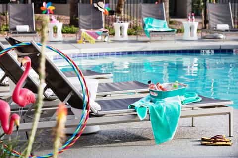 Resort pool deck with colorful beach toys, loungers, pink flamingo floats, and tropical decorations