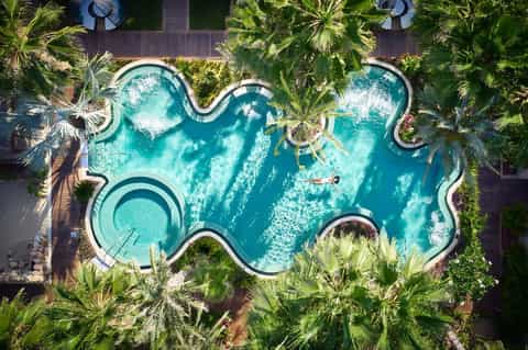 Overhead view of shaped resort pool surrounded by palm trees and tropical landscape