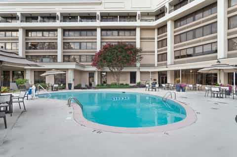 Resort courtyard with curved swimming pool, lounge chairs, flowering tree, and multi-story building