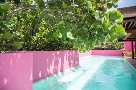 Swimming pool with pink walls, tropical vegetation canopy overhead, and turquoise water