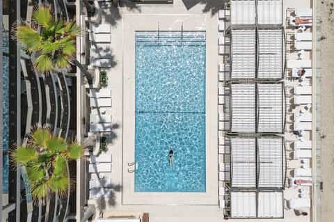 Aerial view of rectangular hotel pool with lounge chairs and palm trees surrounding deck