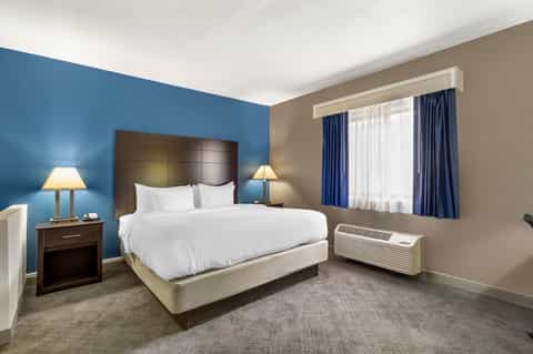 Hotel bedroom with blue accent wall, queen bed, nightstands, and large windows