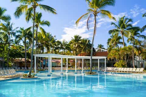 Resort swimming pool with pergola, lounge chairs, and tropical palm trees