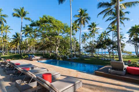 Lagoon-style pool surrounded by palm trees, lounge chairs, and tropical landscape