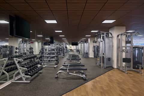 Large fitness facility with dumbbells, weight machines, treadmills, and comprehensive exercise equipment