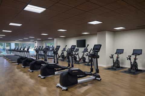 State-of-the-art fitness center with rows of cardio equipment, exercise bikes, and treadmills