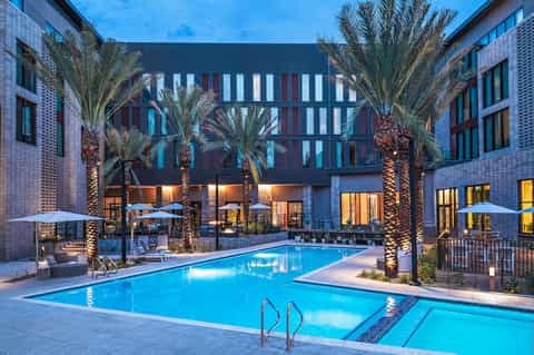 Rectangular resort pool with illuminated palm trees, covered lounge area, modern architecture, and evening lighting
