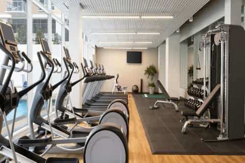 Bright fitness room with elliptical machines, free weights, and large windows