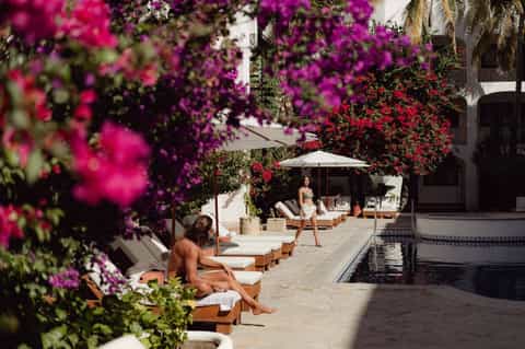Resort pool area surrounded by vibrant magenta bougainvillea flowers, loungers, umbrellas, and white architecture.