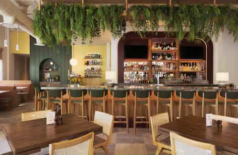 Modern hotel bar with hanging greenery, wooden bar seating, colorful accent walls, and shelves of spirits