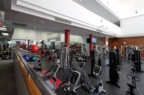 Modern fitness center with cardio equipment, exercise machines, and colorful stability balls along a wooden railing