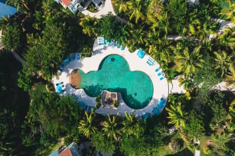 Aerial view of cloud-shaped swimming pool surrounded by palm trees and beach loungers