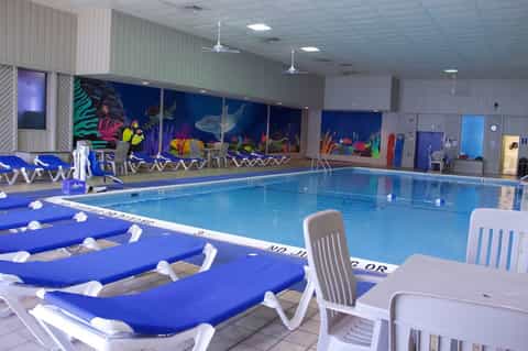 Indoor competitive swimming pool with lane dividers, blue loungers, and colorful underwater mural backdrop