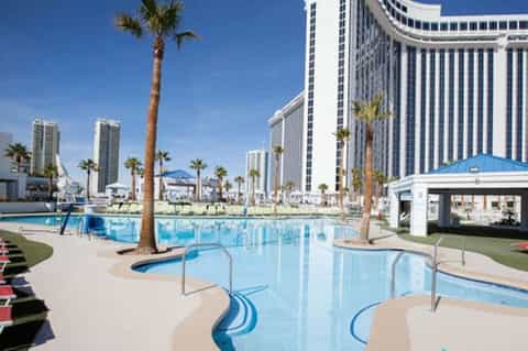Curved resort pool with palm tree, red lounge chairs, white facility building, and modern hotel towers