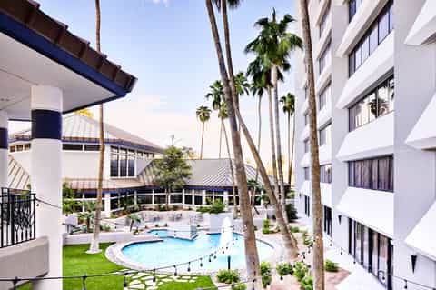 Resort courtyard with curved pool, palm trees, modern white buildings, and lounge seating area
