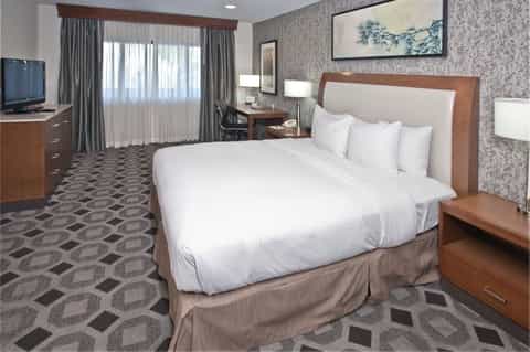 Hotel bedroom with queen bed, wood headboard, geometric patterned carpet, desk area, and floor-to-ceiling curtained windows