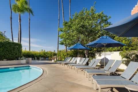Curved pool with gray lounge chairs, blue umbrellas, palm trees, and resort building in sunny setting
