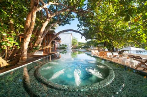 Luxurious resort pool with natural spring water surrounded by trees and wooden loungers