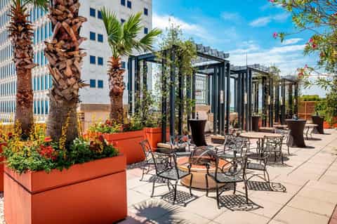 Rooftop terrace with palm trees, colorful planters, pergolas, and outdoor seating overlooking city