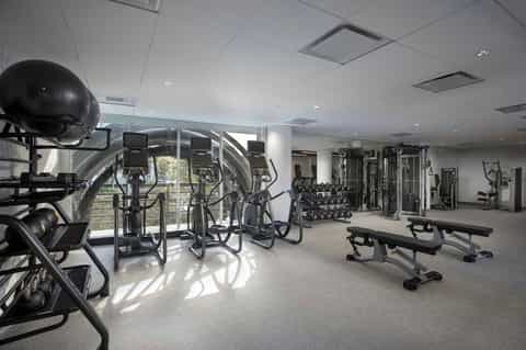 Bright fitness center with cardio equipment, weights, and floor-to-ceiling windows
