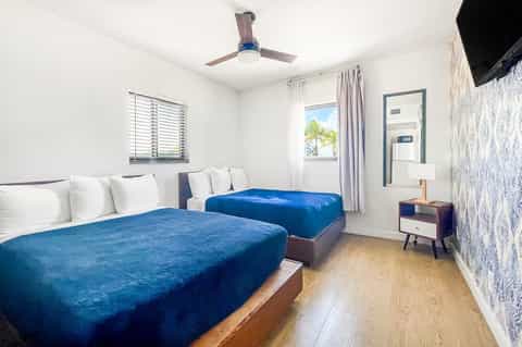 Hotel bedroom with two blue queen beds, ceiling fan, white walls, and palm tree view through window