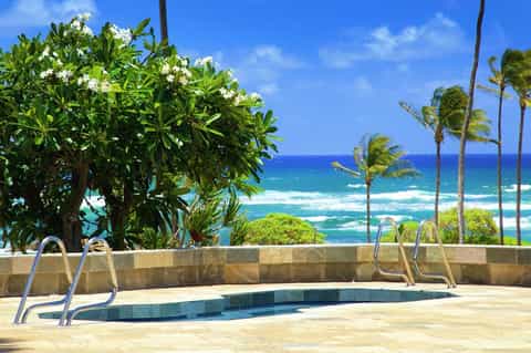 Beachfront swimming pool with tropical landscaping, palm trees, and direct ocean views with white sand beach