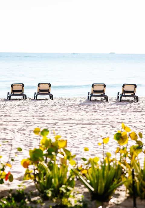 Row of four beach lounge chairs on sand with yellow flowers in foreground and ocean beyond