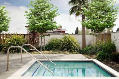Small resort swimming pool with metal handrails, tile edging, white concrete deck, and tropical landscaping with palm trees