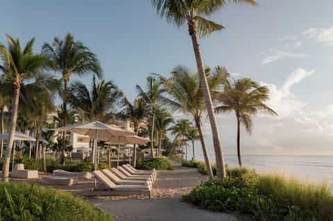 Beachfront resort lounge with palm trees, umbrellas, and ocean view at sunset