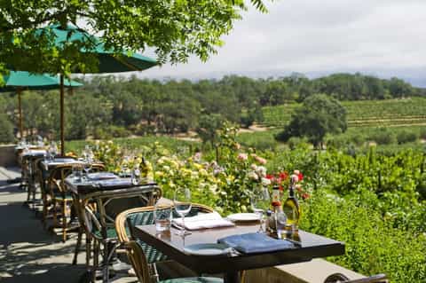 Outdoor dining terrace with vineyard views and flowering gardens under green umbrella shade