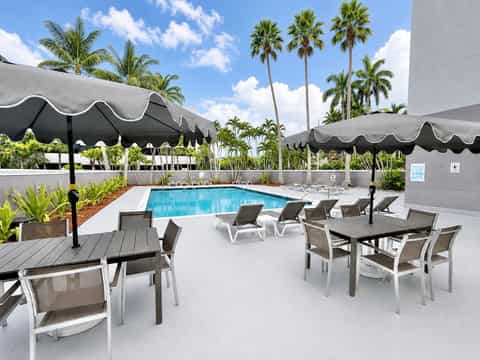 Resort pool area with loungers, black umbrellas, and tall palm trees under blue sky