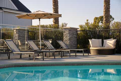 Resort pool deck with lounge chairs, umbrellas, and palm trees overlooking clear blue pool
