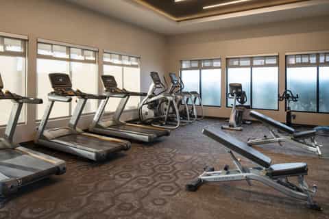 Modern fitness center with treadmills, ellipticals, stationary bikes, and weight benches along bright windows